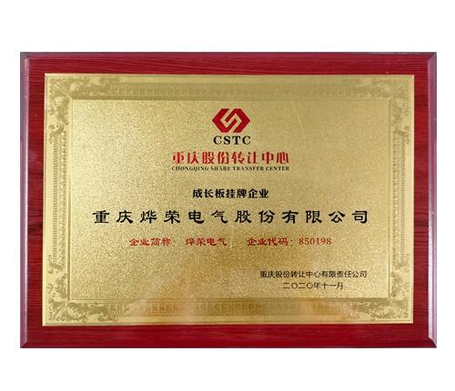 成长挂牌企业